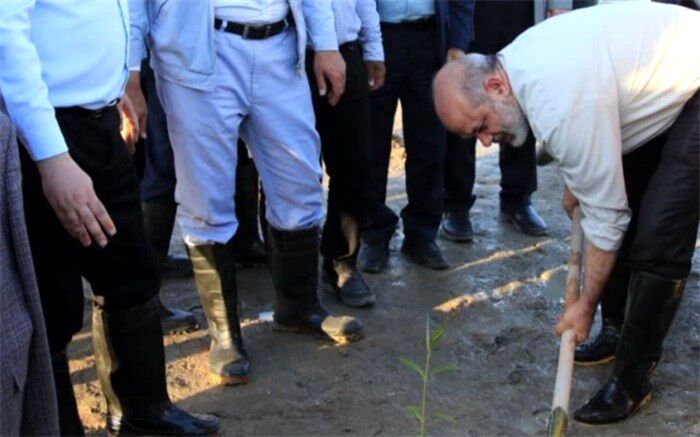 آغاز ۲۰۰ هکتار جنگل‌کاری در‌ هرمزگان با حضور وزیر کشور