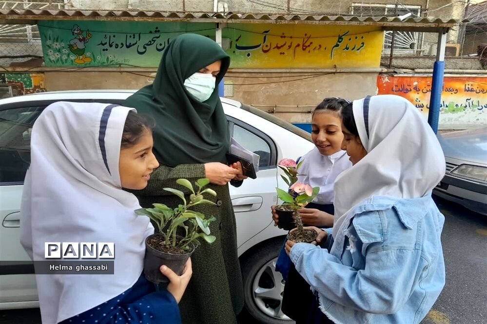 نذر گل در دبستان دخترانه شهید‌محمدعلی صابری قائمشهر