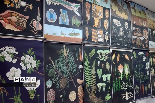 بازدید علمی دانش آموزان دبستان لطیفه از پژوهش سرای رازی ناحیه ۷