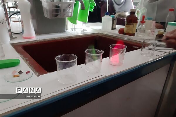 بازدید علمی دانش آموزان دبستان لطیفه از پژوهش سرای رازی ناحیه ۷