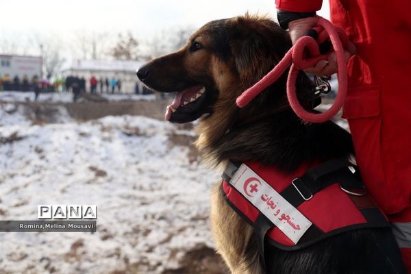 مانور زلزله، اسکان و درمان اضطراری در تبریز