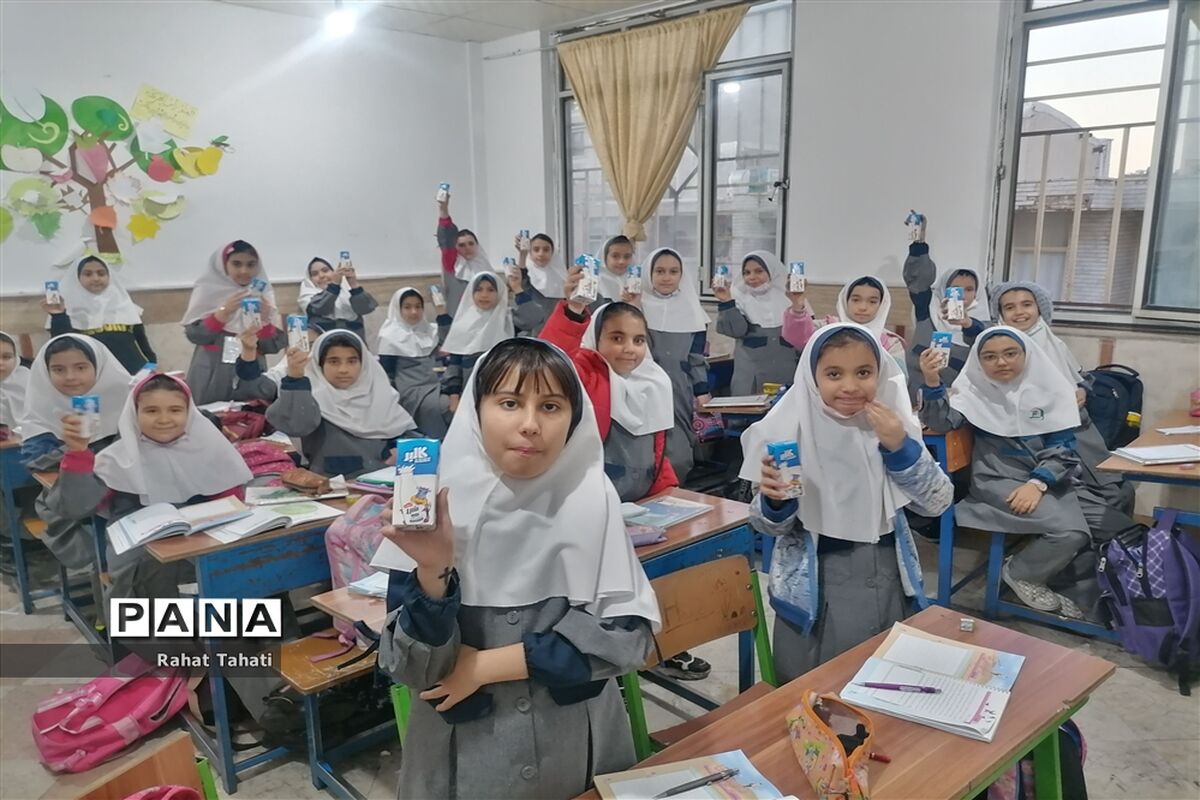 تهوع و دل درد دانش‌آموزان هیچ ارتباطی با شیرهای توزیعی مدارس ندارد