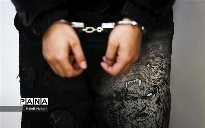 کلاهبردار ۲۲۰۰ میلیاردی به کشور بازگردانده شد