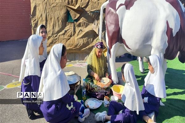 افتتاحیه توزیع شیر رایگان در مدارس پاکدشت