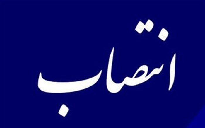 رئیس ستاد مسئولیت‌پذیری اجتماعی دانشگاه تهران منصوب شد