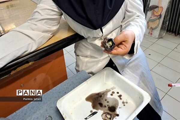 حضور دانش‌آموزان دبیرستان نگین علم و هنر در آزمایشگاه زیست پژوهشسرای دانش‌آموزی شهریار