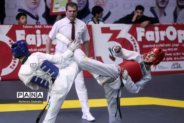 سی و سومین دوره مسابقات بین المللی تکواندو جام فجر