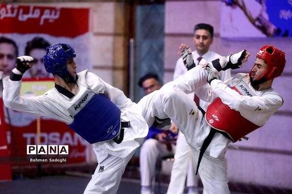 سی و سومین دوره مسابقات بین المللی تکواندو جام فجر