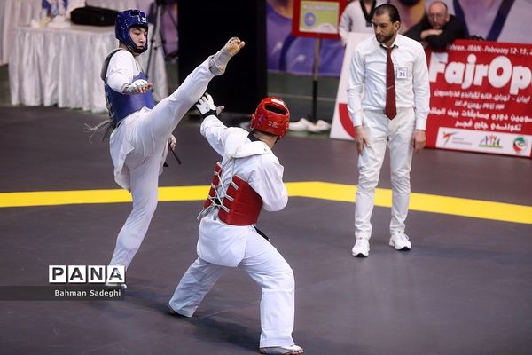 سی و سومین دوره مسابقات بین المللی تکواندو جام فجر