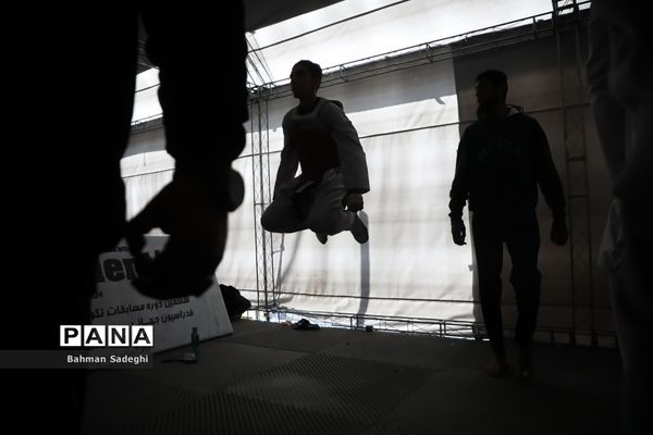 سی و سومین دوره مسابقات بین المللی تکواندو جام فجر