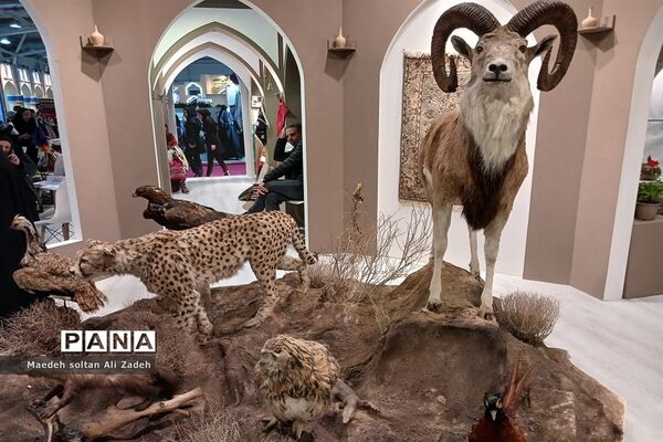 هفدهمین نمایشگاه بین‌المللی گردشگری و صنایع دستی