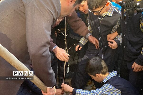 مراسم درختکاری در دبستان امام هادی(ع) ناحیه یک شهرری