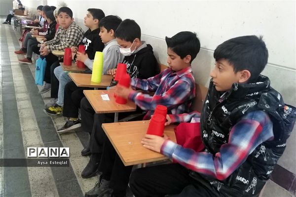المپیاد بازی‌های فکری رویش دانش‌آموزان پسر دبستانی ناحیه 3 شیراز