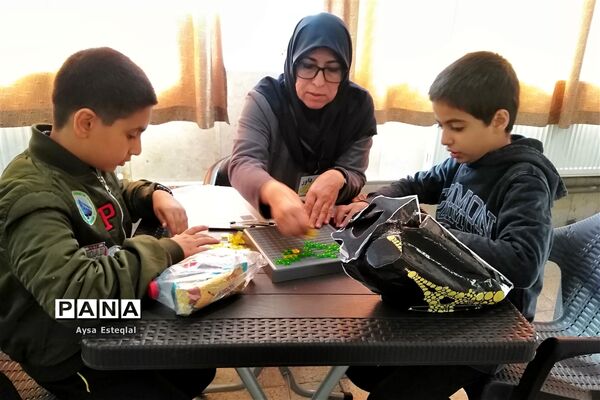 المپیاد بازی‌های فکری رویش دانش‌آموزان پسر دبستانی ناحیه 3 شیراز
