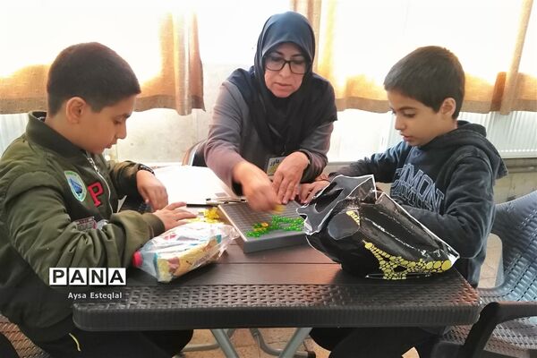 المپیاد بازی‌های فکری رویش دانش‌آموزان پسر دبستانی ناحیه 3 شیراز
