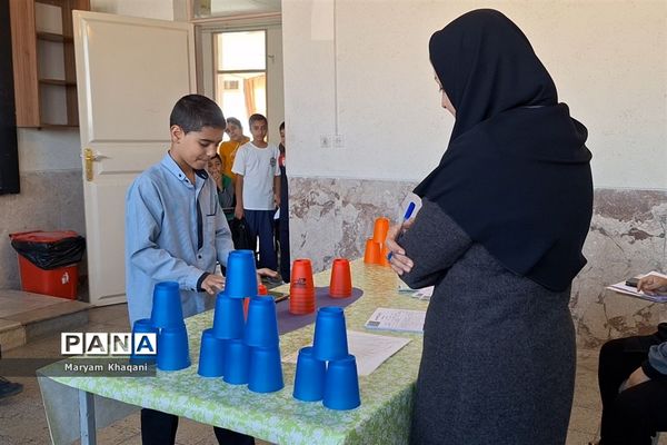 المپیاد بازی‌های فکری رویش دانش‌آموزان پسر دبستانی ناحیه 3 شیراز