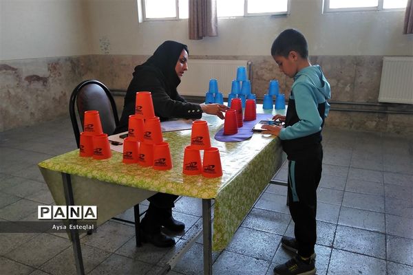 المپیاد بازی‌های فکری رویش دانش‌آموزان پسر دبستانی ناحیه 3 شیراز