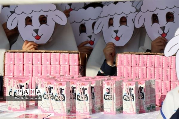 توزیع شیر در مدارس پاکدشت