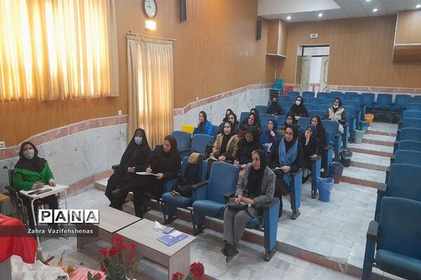 کارگاه توانمند سازی ویژه مشاوران در شهرستان شیروان