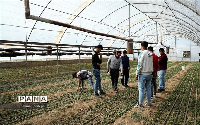 تقویت  هنرستان‌ها لازمه تربیت نیروی ماهر