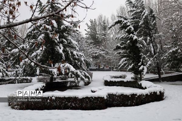 بارش برف در ارومیه