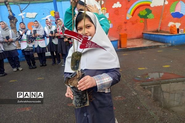 کاشت نهال به یاد شهدای گمنام در دبستان شهید مجیدی ناحیه دو شهرری