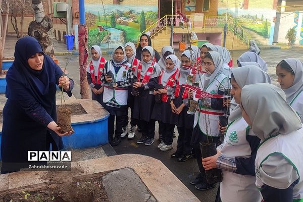 کاشت نهال به یاد شهدای گمنام در دبستان شهید مجیدی ناحیه دو شهرری