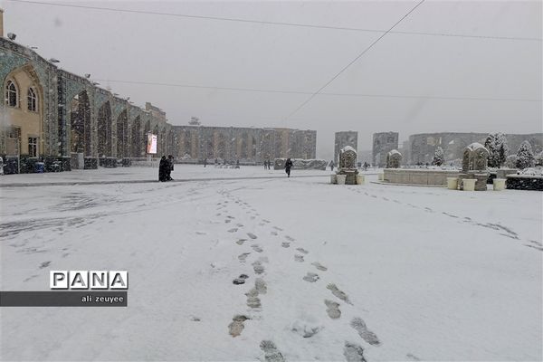 مشهد سفید پوش شد