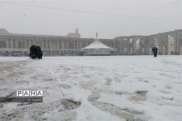 مشهد سفید پوش شد