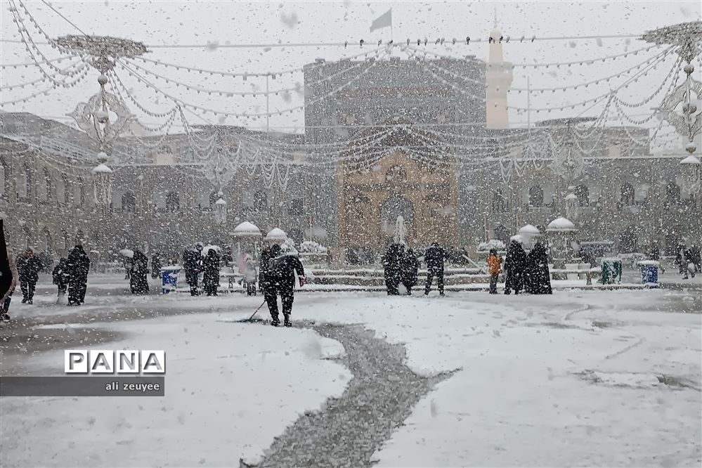 مشهد سفید پوش شد