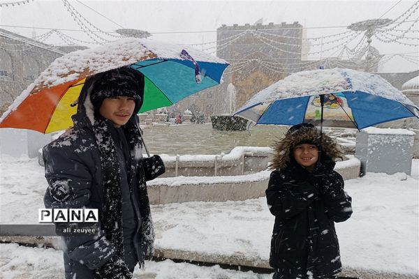 مشهد سفید پوش شد