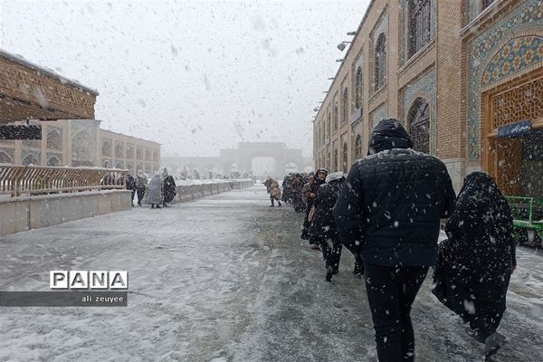 مشهد سفید پوش شد