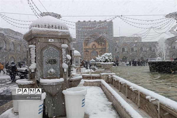 مشهد سفید پوش شد