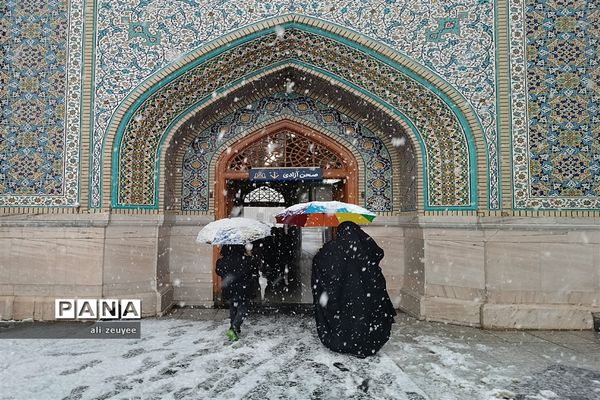 مشهد سفید پوش شد