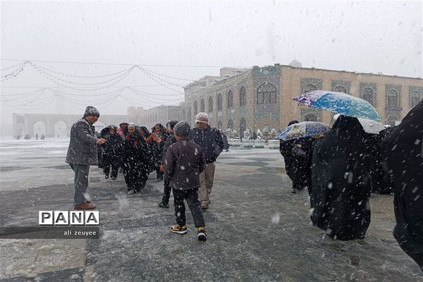 مشهد سفید پوش شد