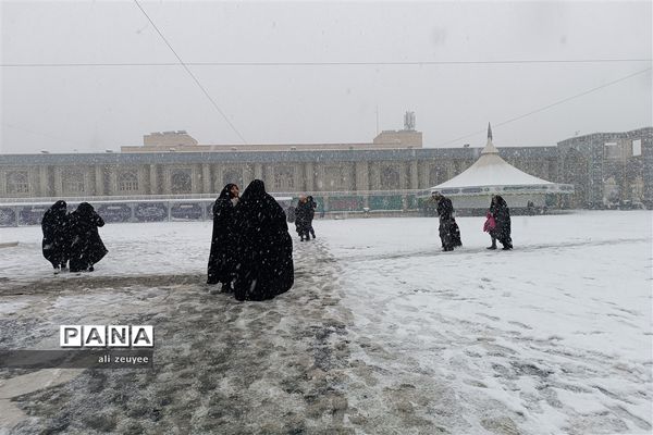 مشهد سفید پوش شد