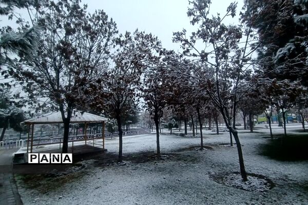 بارش برف زمستانی در فشافویه