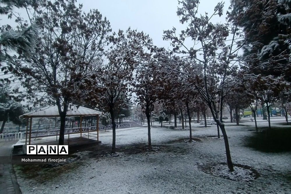 بارش برف زمستانی در فشافویه