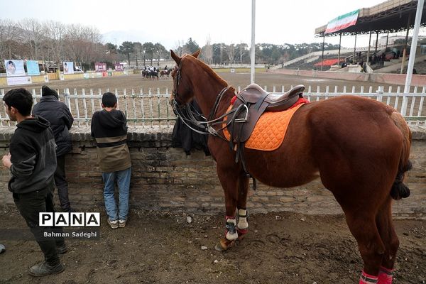 مسابقات لیگ ملی چوگان (جام فجر)