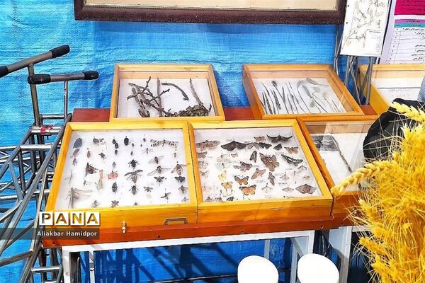 نمایشگاه ایده‌های خلاقانه دانش‌آموزی به‌مناسبت دهه فجر