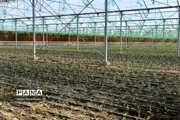 افتتاح و کلنگ‌زنی یکصد و هفت پروژه با حضور استاندار تهران در اسلامشهر