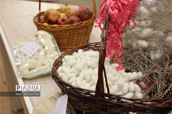 جشنواره طبخ ماهی و دستاوردهای زنان روستایی و عشایری خداآفرین