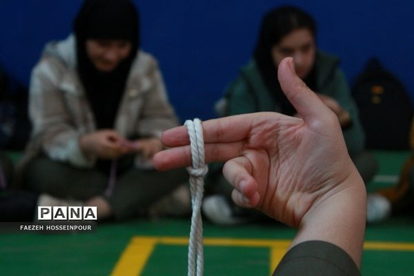 مانور یاوران انقلاب در بهارستان دو