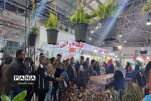 نمایشگاه گل و گیاه و سوغات درقائمشهر