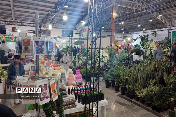 نمایشگاه گل و گیاه و سوغات درقائمشهر