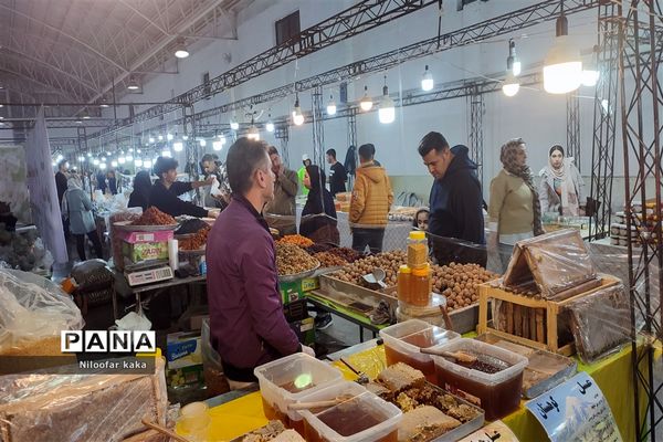 نمایشگاه گل و گیاه و سوغات درقائمشهر