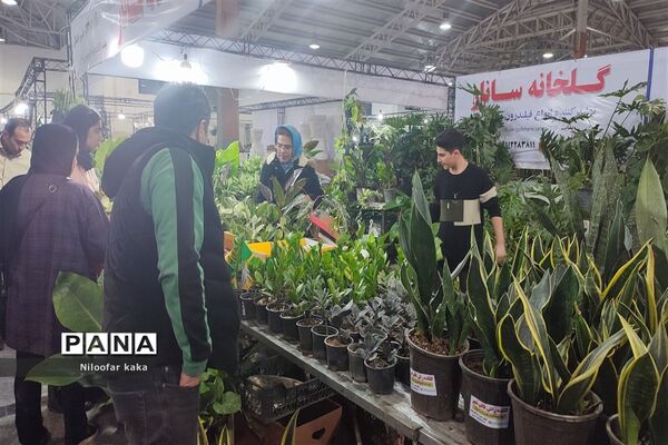 نمایشگاه گل و گیاه و سوغات درقائمشهر