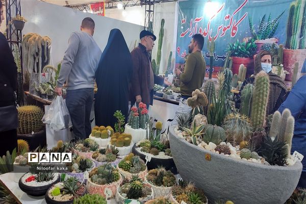 نمایشگاه گل و گیاه و سوغات درقائمشهر