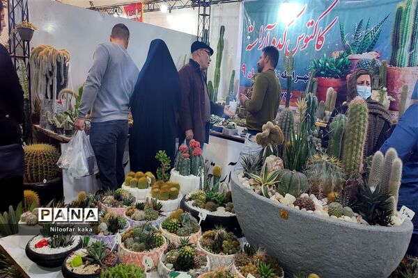 نمایشگاه گل و گیاه و سوغات درقائمشهر