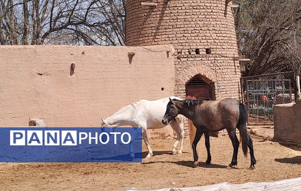 آیین باستانی سیزده بدر در دهکده ی  چوبی نیشابور